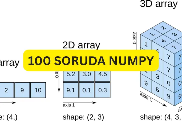 100 Soruda Numpy