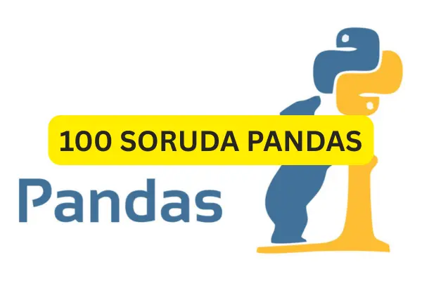 100 SORUDA PANDAS