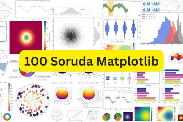 100 Soruda Matplotlib